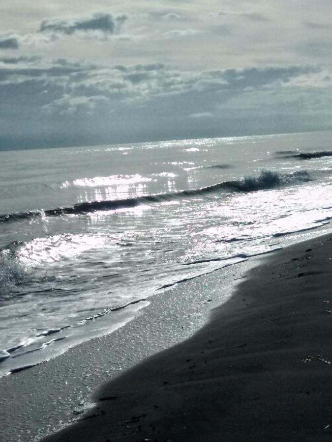 Un Nid Douillet En Bord De Plage !! Lucciana  Exterior photo